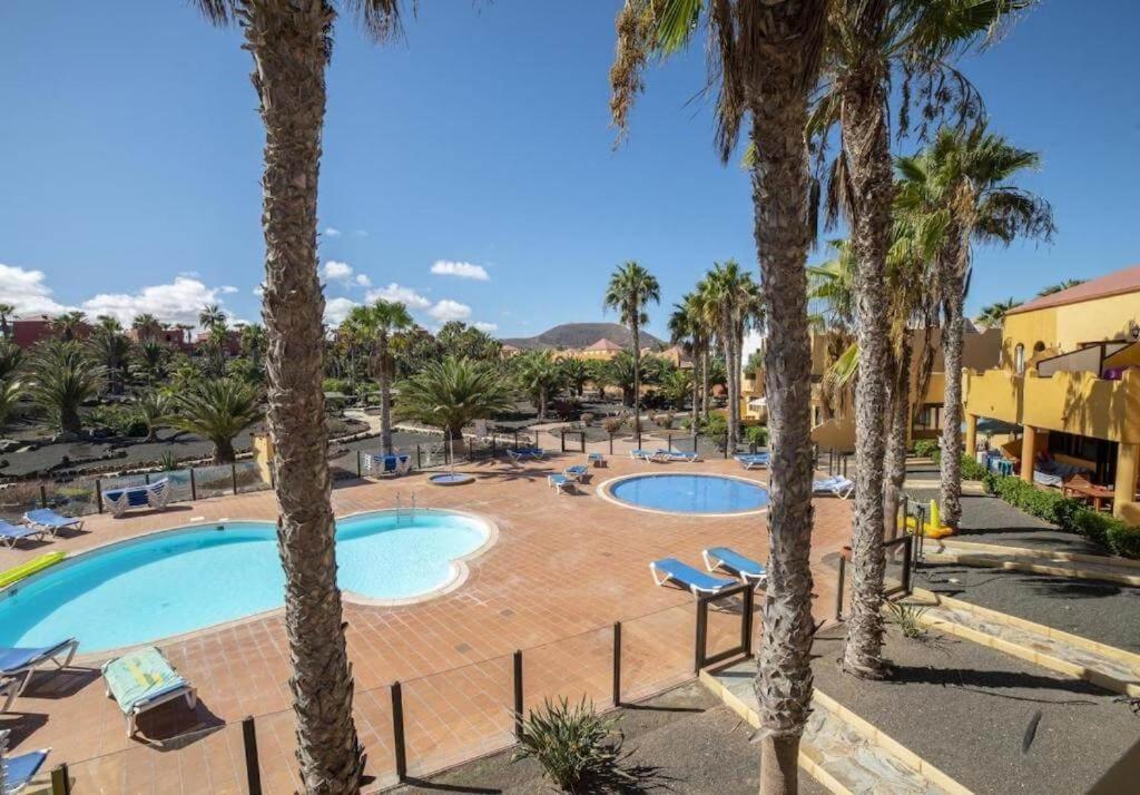 Lightbooking Oasis Royal Corralejo F311 Экстерьер фото